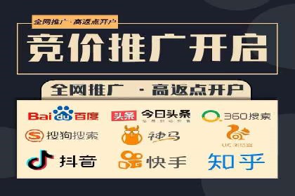 创新驱动：SEM竞价优化的多维度案例分析